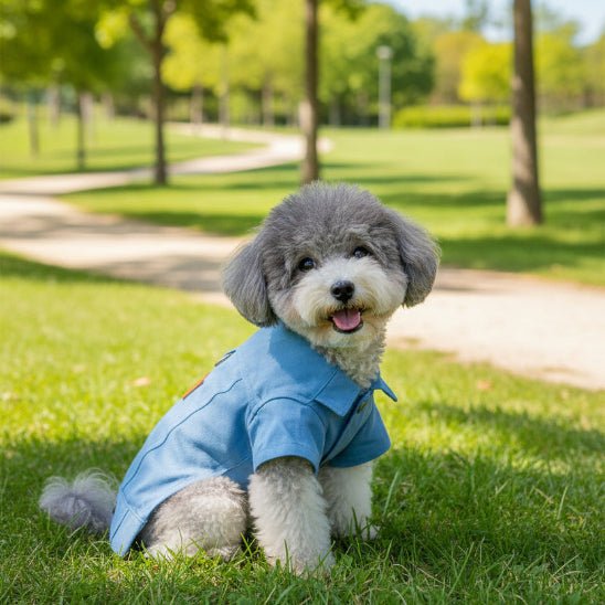 Manteau chien | Le Jeans Jacket - Jamais sans mon chien