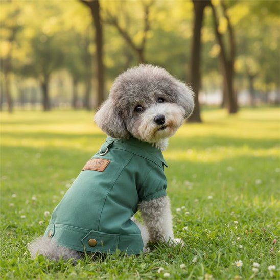 Manteau chien | Le Jeans Jacket - Jamais sans mon chien