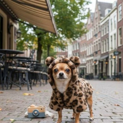 Manteau Chien | Le Petit Ourson - Jamais sans mon chien