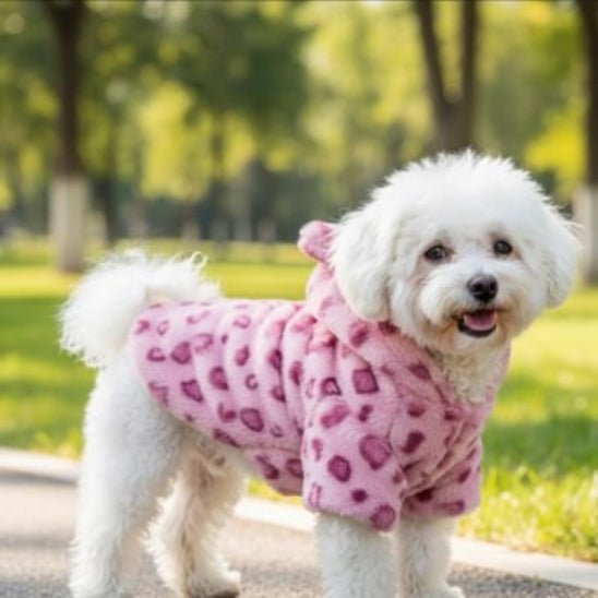 Manteau Chien | Le Petit Ourson - Jamais sans mon chien