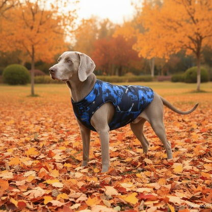 Manteau chien | Blanket - Jamais sans mon chien