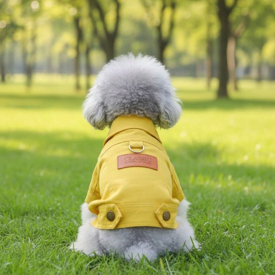 Manteau chien | Le Jeans Jacket - Jamais sans mon chien