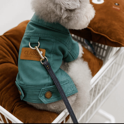 Manteau chien | Le Jeans Jacket - Jamais sans mon chien