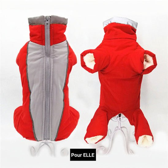 Manteau Chien | Jumpsuit pour elle et lui - Jamais sans mon chien