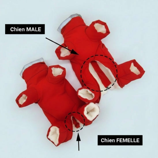 Manteau Chien | Jumpsuit pour elle et lui - Jamais sans mon chien