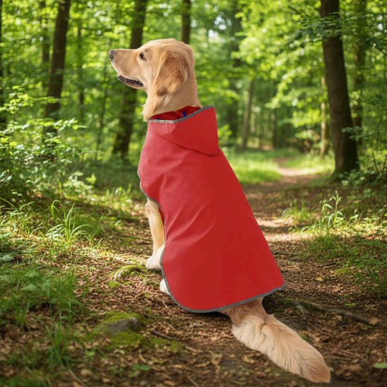 Manteau chien | L'Imperialiste - Jamais sans mon chien