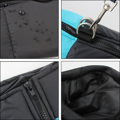 Manteau Chien | La Veste Bicolore- Caractéristiques