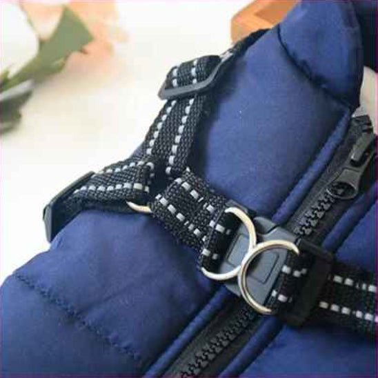 Manteau Chien | Starlight - Jamais sans mon chien