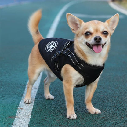 Manteau Chien | Starlight - Jamais sans mon chien
