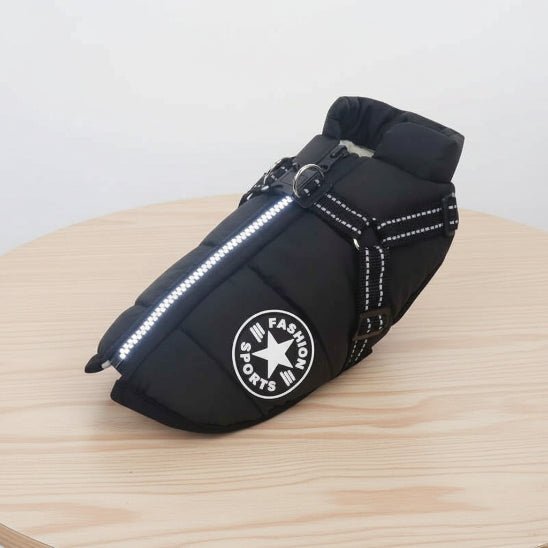 Manteau Chien | Starlight - Jamais sans mon chien