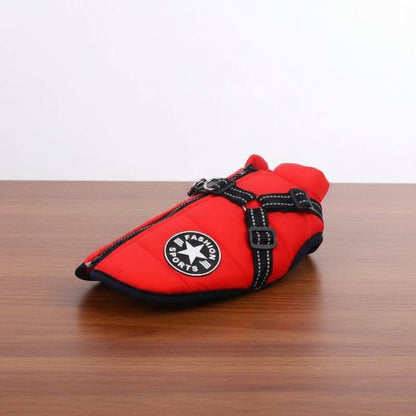 Manteau Chien | Starlight - Jamais sans mon chien