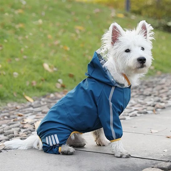 Manteau pour chien | Little Sport - Jamais sans mon chien