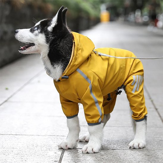 Manteau pour chien | Little Sport - Jamais sans mon chien