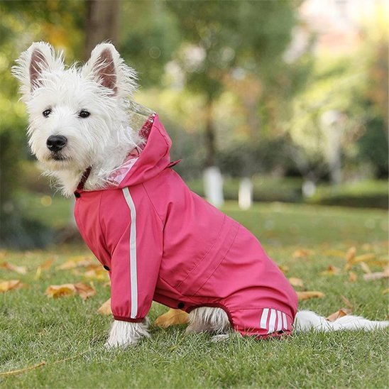 Manteau pour chien | Little Sport - Jamais sans mon chien