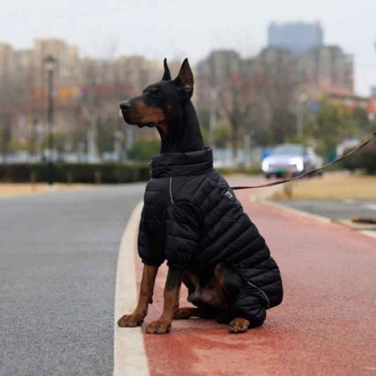 Manteau pour Chien | Puffy Coat 2 - Jamais sans mon chien