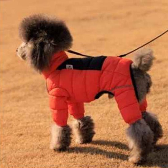 Manteau pour Chien | Puffy Coat 2 - Jamais sans mon chien