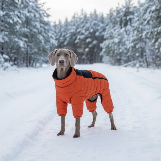 Manteau pour Chien | Puffy Coat 2 - Jamais sans mon chien