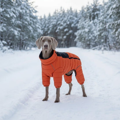 Manteau pour Chien | Puffy Coat 2 - Jamais sans mon chien