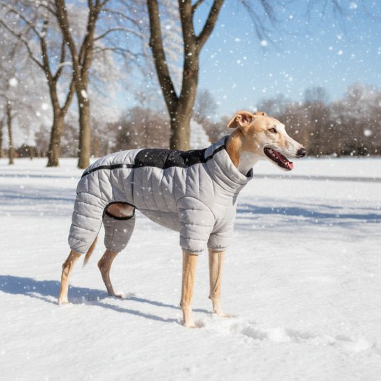 Manteau pour Chien | Puffy Coat - Jamais sans mon chien
