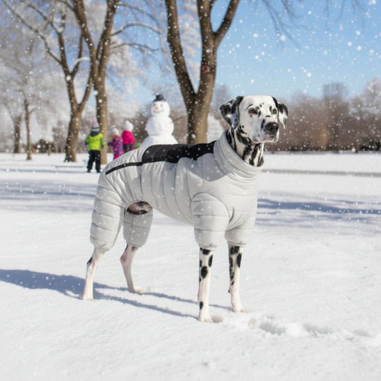 Manteau pour Chien | Puffy Coat - Jamais sans mon chien