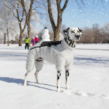 Manteau pour Chien | Puffy Coat - Jamais sans mon chien