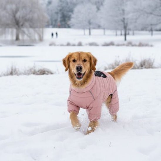 Manteau pour Chien | Puffy Coat - Jamais sans mon chien