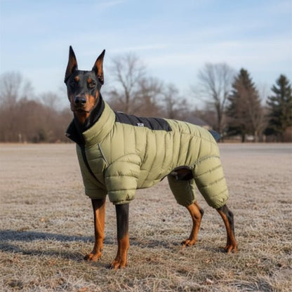 Manteau pour Chien | Puffy Coat - Jamais sans mon chien