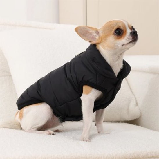Manteau pour Chien | Transylvania - Jamais sans mon chien