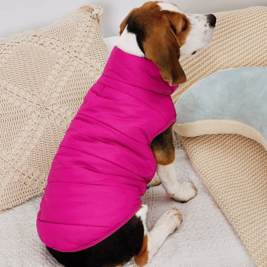 Manteau pour Chien | La Doudoune