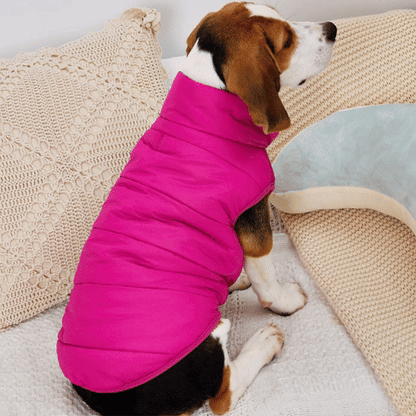 Manteau pour Chien | La Doudoune
