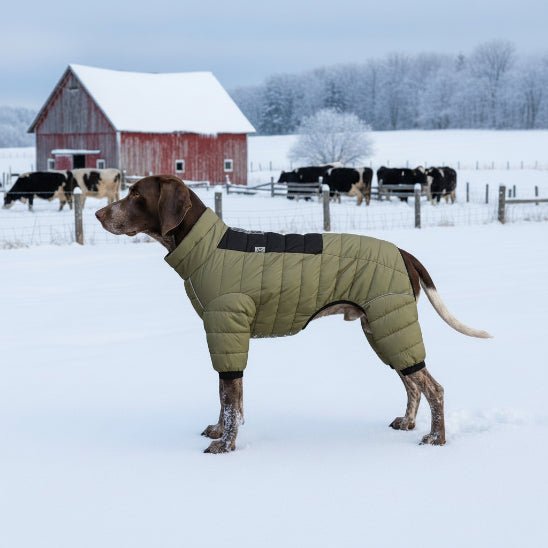 Manteau pour Chien | Puffy Coat - Jamais sans mon chien