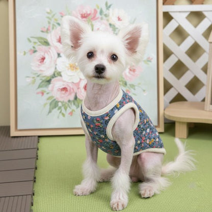 Manteau Chien | Le Petit Frileux - Jamais sans mon chien