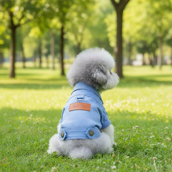 Manteau chien | Le Jeans Jacket - Jamais sans mon chien
