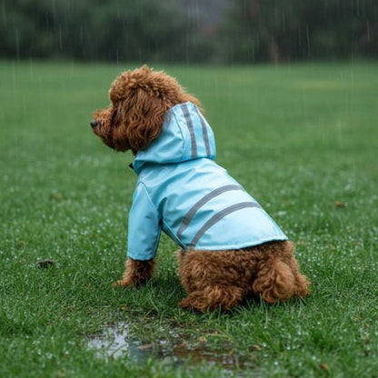 Manteau pour Chien | Le Glossy - Jamais sans mon chien