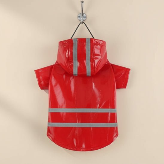 Manteau pour Chien | Le Glossy - Jamais sans mon chien