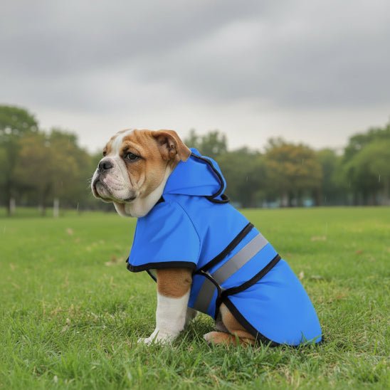 Manteau pour Chien | L'Inspecteur - Jamais sans mon chien