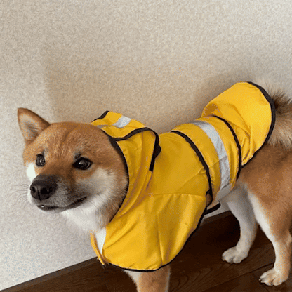 Manteau_pour_chien | L'Inspecteur