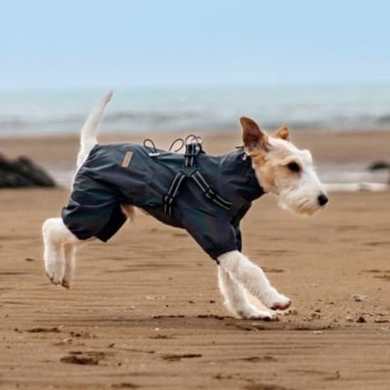 Manteau pour chien | Astro Laika - Jamais sans mon chien