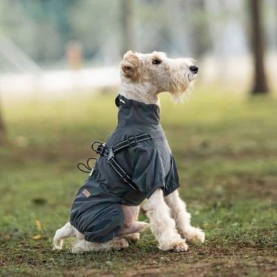Manteau pour chien | Astro Laika - Jamais sans mon chien
