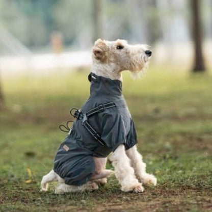 Manteau pour chien | Astro Laika - Jamais sans mon chien