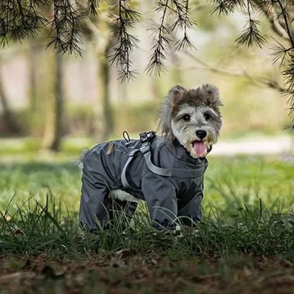 Manteau pour chien | Astro Laika - Jamais sans mon chien
