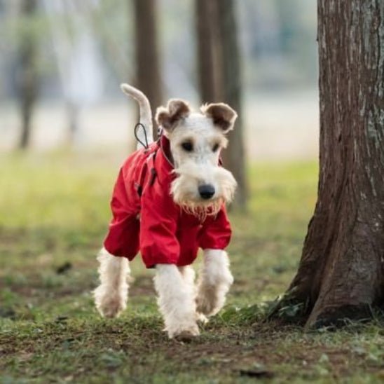 Manteau pour chien | Astro Laika - Jamais sans mon chien