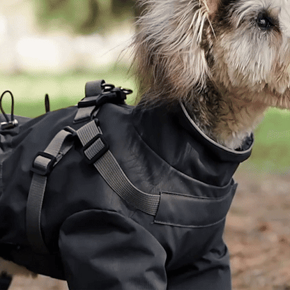 Manteau pour chien | Astro Laika - Jamais sans mon chien