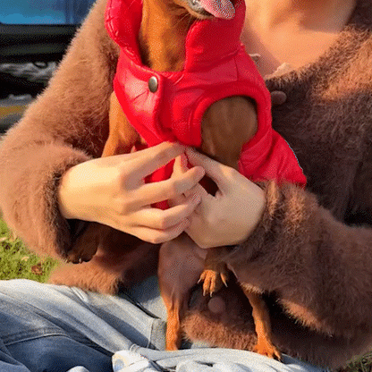 Manteau pour Chien | Transylvania - Jamais sans mon chien