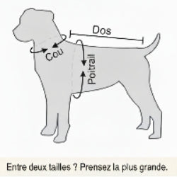 Mesures pour Manteaux et Impermeables - Jamais sans mon chien