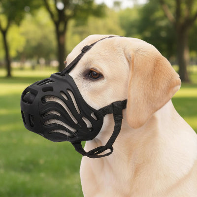 Muselière pour Chien | Type Lupoïde - Labrador