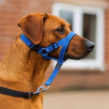Muselière chien | Le Licol - Jamais sans mon chien