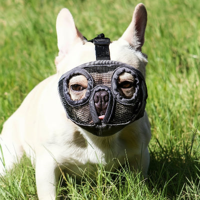Muselière chien | Hannibal Lecter- couleur NOIR- Modèle B- Bouledogue-2