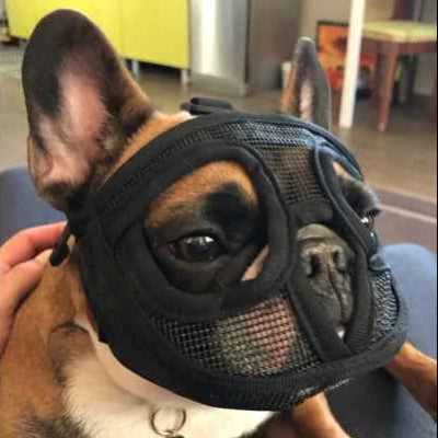 Muselière chien | Hannibal Lecter- couleur NOIR- Modèle A