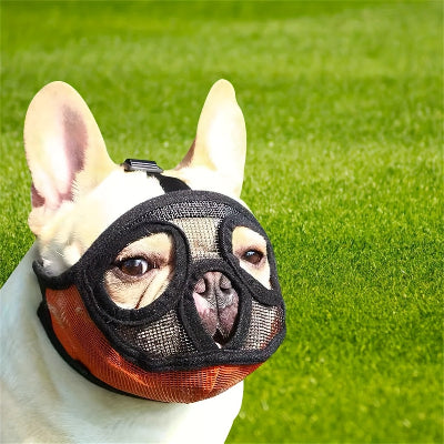 Muselière chien | Hannibal Lecter- couleur ORANGE- Modèle A